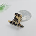 1 Leopard Beige